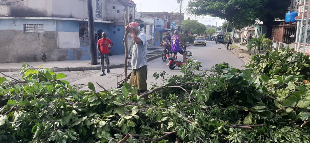 Poda de árboles en Santiago ante la proximidad del Huracán Melissa / Miguel Amado Noa Menéndez